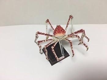 奇譚クラブ　ネイチャーテクニカラー 海遊館ミュージアム フィギュア 奇譚クラブ ネイチャーテクニカラー 海遊館ミュージアム フィギュア