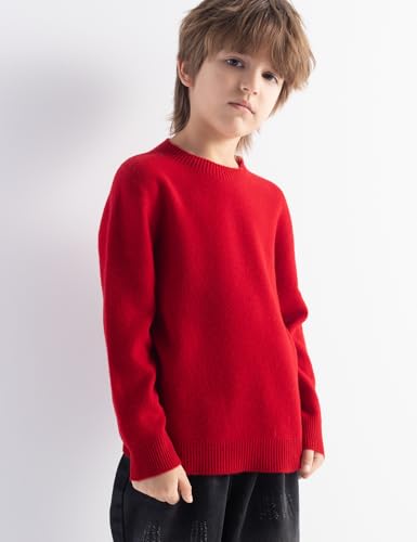 Boys and Girls 100% Merino Wool Sweater Fall Winter First-Line Ready to Wear Crewneck Long Sleeve Seamless Sweater4