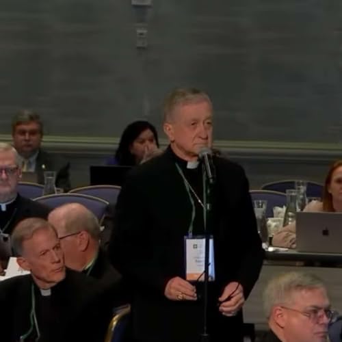 When US bishops LARP as politicians