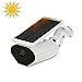Produktbild Extaum WiFi-Kamera 1080P 2.0MP mit Solarpanel AußenüberwachungWasserdicht Kompatibel mit Amazon Echo Show für Sprachsteuerungsunterstützung TF-Kartenaufzeichnung, 2-Wege-Audio
