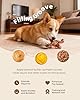 ChienBox Dog Toys for Aggressive Chewers: 2 Pack Indestructible Dog Toy for Large Medium Dogs, Strong Dog Chew Toys to Keep Them Busy, Tough Dog Toys Dental Care Reduce Boredom Anxiety, Bacon Flavor #3