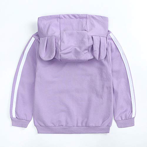 Roupas de moletom + calça orelha meninas meninos bebê urso com zíper moletom infantil meninos roupas