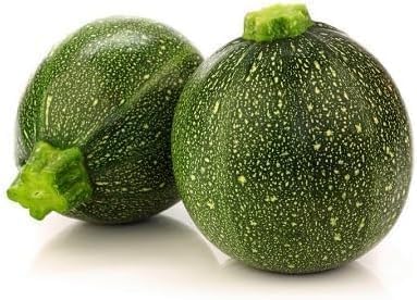 gem Squash Vegetable Seeds 100pcs Green