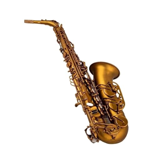 tFbViTbNX EbAgTbNX ^J bJ[ S[h ؊Ǌy P[Xƃ}EXs[XANZT[t