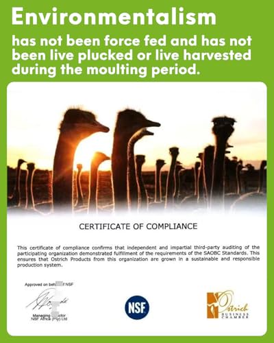 image for NEWONG 30pcs Red Ostrich Feathers Natural Bulk 11-14inch(28-35cm) Vase