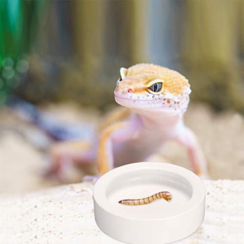 Meanplan 4 Pieces Reptile Water Food Bowl Terrarium Bowls Worm Dish Ceramic Pet Bowls Mini Reptile Food Ceramics Water Bowl Anti-Escape Mini Reptile Feeder For Lizard Anoles Bearded Dragons #TOP3