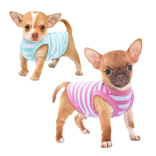 XXS Dog Clothes The 15 best products compared Wild Explained