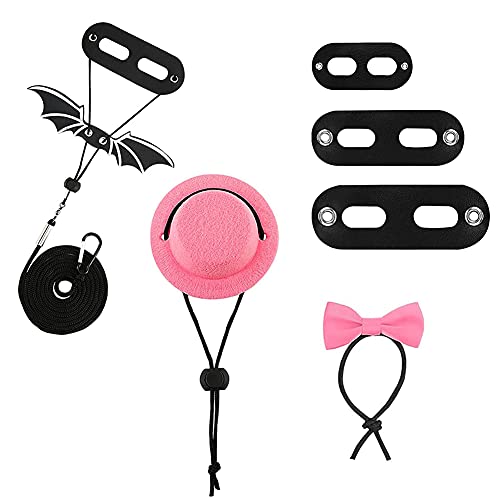 6 stuks hagedissenlijnen, tuigjes voor reptielen, verstelbare riem van leer, hagedis, met vleugels, hoed, strik, voor… - Image 4