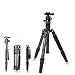 Produktbild BENRO TRIPODE TRAVEL ANGEL II C2692TV1