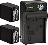 BM 2-Pack of NP-FV100 Batteries and Charger for Sony HDR-CX455 CX675 CX260 CX290 CX330 CX380 CX430V CX580V CX760V CX900 PJ430V PJ540 PJ580V PJ650V PJ670 PJ710V PJ760V PV790V PJ810 FDR-AX33 AX53 AX100