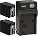 BM Premium 2-Pack of NP-FV100 Batteries and Battery Charger for Sony FDR-AX53 HDR-CX455/B HDR-CX675/B HDR-CX220 HDR-CX230 HDR-CX260V HDR-CX290 HDR-CX330 HDR-CX380 HDR-CX430V HDR-CX580V HDR-CX760V HDR-CX900 HDR-PJ230 HDR-PJ260V HDR-PJ340 HDR-PJ380 HDR-PJ430V HDR-PJ540 HDR-PJ580V HDR-PJ650V HDR-PJ670/B HDR-PJ710V HDR-PJ760V HDR-PV790V HDR-PJ810 HDR-TD30V FDR-AX33 FDR-AX100 Camcorder