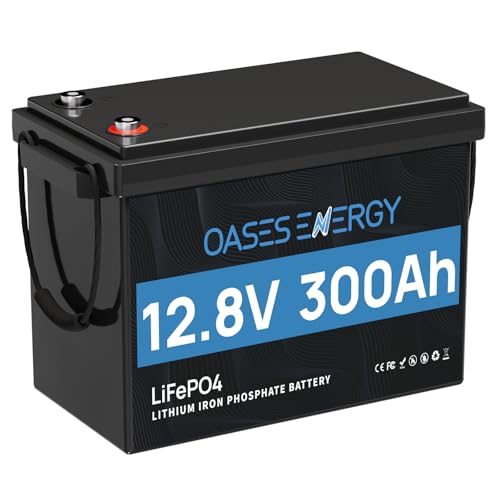 Oasesenergy LiFePO4 12V 300Ah Lithium Batterie Mini mit 200A BMS und 4000~15000 Zyklen, 10 Jahre Lebensdauer, 3840Wh 12V LiFePO4 Akku für Wohnmobil, Solarpanel Kit,Backup-Strom, Camping, Boote