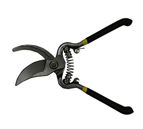 Sécateur en Acier au Carbone Outil de Jardin Rose Ciseaux Ciseaux à Fleurs Noir 20cm Cover