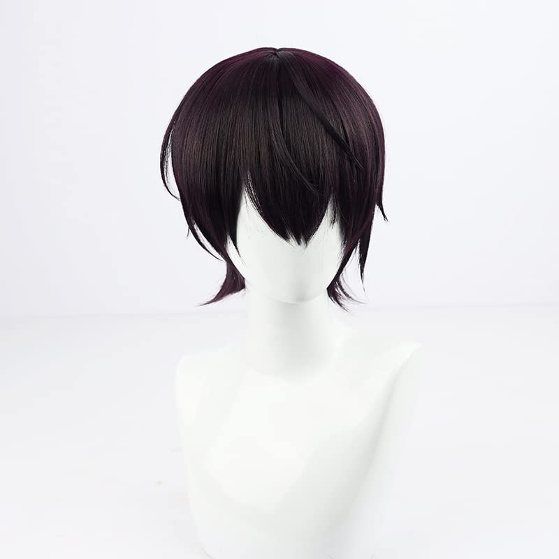 Amazon.co.jp: コスプレウィッグ 耐熱ウィッグ 剣持 刀也（けんもち