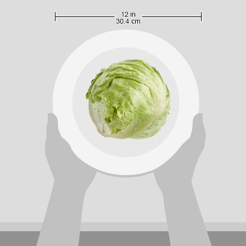 Iceberg Lettuce, 1 Head