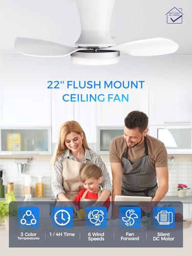 Image of LANMEL Ceiling Fan with Light, Modern Flush Mount Low Profile with Remote Control, Reversible, 3CCT Dimmable, Quiet,LED for Bedroom, Living Room, Indoor /Outdoor Patio Use 22 Inch Silver & White