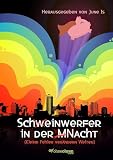 Schw̶einwerfer in der M̶Nacht: Kleine Fehler verändern Welten