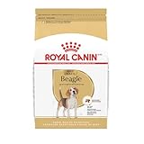 Royal Canin Beagle Adult Dry Dog Food, 6 lb bag