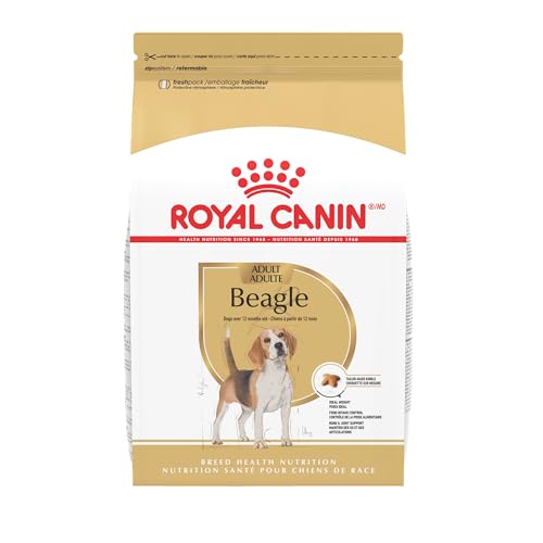 Royal Canin Beagle Adult Dry Dog Food, 6 lb bag