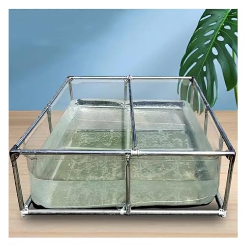 Piscine d'aquarium extérieur transparent pour poissons et étang
