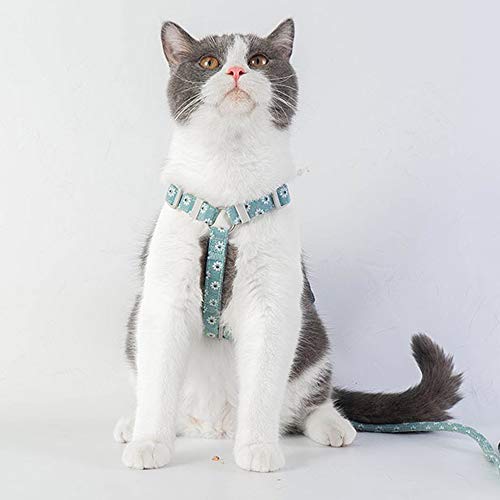 PETTOM Blumenmuster katzengeschirr mit Leine katzenleine mit Geschirr für Katzen mit Rundes Schlüsselband Ausbruchsicher Einstellbarer Brustgurt Geeignet für kleine und mittlere Katzen