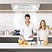 Garvee Range Hood 30 in Built-In/Insert - 450CFM Stainless Steel Kitchen Vent Hood with Gesture Sensing & Remote Control - Convertible Ducted/Ductless - 3-Speed Low Noise