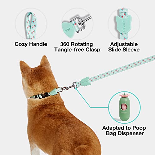 Vetreska Dog Collar And Leash Set For Large Medium Small Dogs, Adjustable Waterproof Dog Collar Heavy Duty Metal Buckle For Dog Training Walking Running, Blue S #TOP2