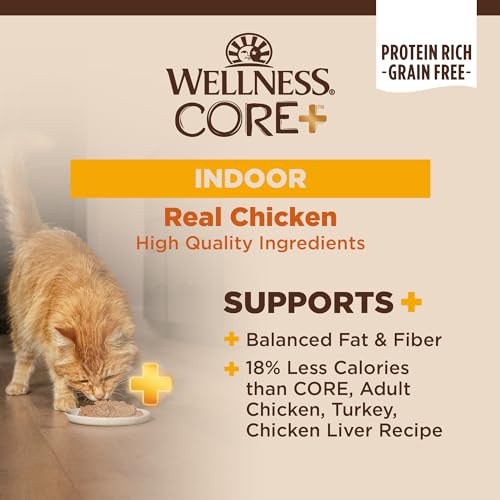 Wellness CORE Natural Grain Free Wet Canned Cat Food, Indoor Recipe, 5.5-Ounce Can (Pack of 24)