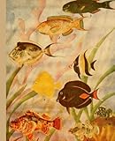 fisher vintage turntable  Fish Notebook with Vintage Theme Cover