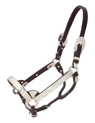 Royal King Silver Mini Show Halter Large