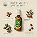 Ancient Greek Remedy Face Oil for Dry Skin - Organic Unscented Anti-Aging Serum - Jojoba, Rosehip, Almond, Olive, Vitamin E - Facial Gua Sha oil - Natural Body Moisturizer for Women & Men 4 oz