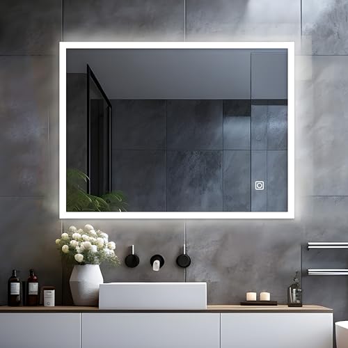 LISA Miroir de Salle de Bain LED 60 x 50 cm Grand Miroir Lumineux Salle de Bain avec éclairage 600 x 500 mm Miroir Mural avec Tactile - Blanc Froid - pour WC, Couloir -...