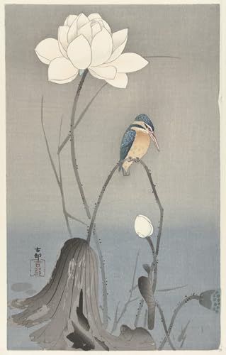 Deux oies au bananier Ohara Koson affiche impression toile 60x90cm