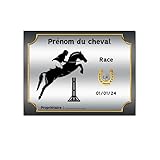 Produit artisanal, fait main Plaque de box personnalisable cheval - pancarte porte de box personnalisée poney - thème saut d\'obstacle
