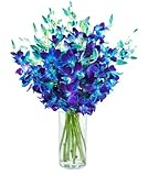 KaBloom - 20 Blue Orchid with vase - Fresh Flowers for Birthday, Valentine's & Mother's Day