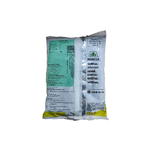 Image of Pioneer 45S46 Hybrid Mustard Seeds / Sarso ke beej - 1kg