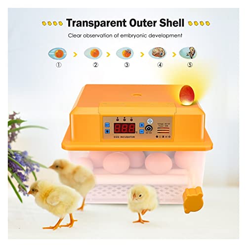 Incubateurs pour œufs à couver automatiques pour 16 œufs de poulet - 3