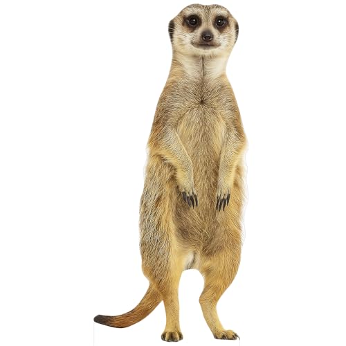 Image of Meerkat 6FT Life Size Cardboard Cutout, Animal Standup, 1 PC | Animal Standup for Events, Party Decorations, Birthday Celebrations, Photo Booth Props, Home & Office Decoration