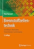 Brennstoffzellentechnik: Grundlagen, Materialien, Anwendungen, Gaserzeugung