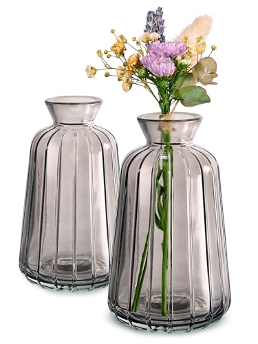 Praknu Mini Vases en Verre - Lot de 6 - Style Vintage - Petits Vases Décoratifs - Adaptés à la Lave-Vaisselle - Parfaits pour Décorer Les Tables de Mariage...