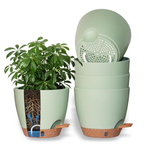 Image of FORAGIFT Self Watering Plant Pots, Set of 5, 20 cm, Green