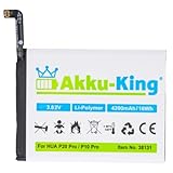 Akku-King