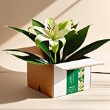 Amazon Unbox Your Talent