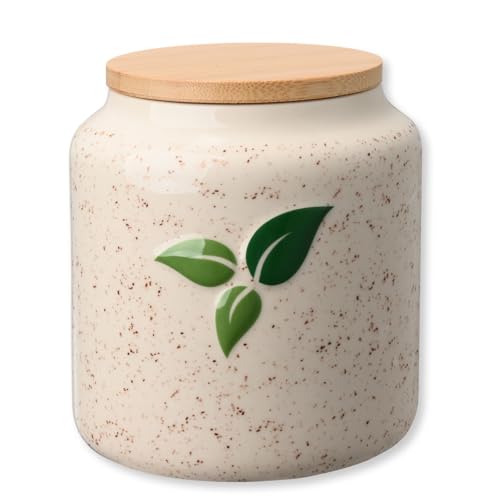 Miicol Z~bNeB[Xg[WW[AWtI[o[iCgI[ce Lb`Xg[W R[q[AAXpCXAAp 􂢂₷