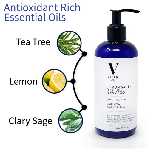 Videri Lemon Sage & Tea Tree Shampoo - Best For Dry Hair & Scalp. Hydrate With Essential Oils, Aloe Vera & Antioxidants. Uplifting Fresh Citrus Scent. Sulfate & Paraben Free, Vegan, Large 12 Fl Oz #TOP1