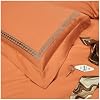 Embroidery Bedding Set Luxury Soft Bed Sheet and Pillowcases Quality Quilt Cover Summer for Home, Sheets(Blue,Queen)