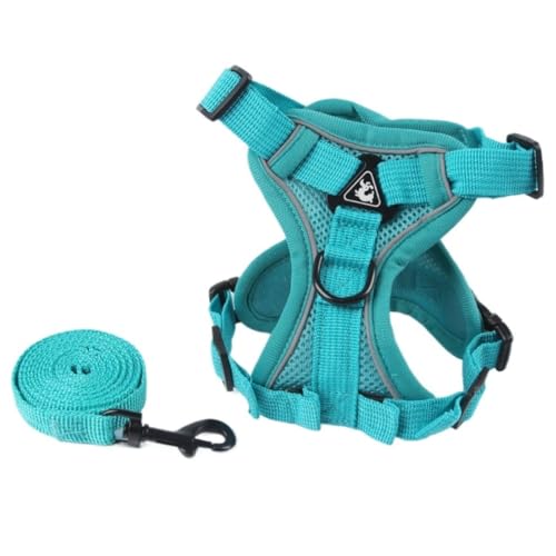 Fiozwea [VA`FXgXgbvAxXgX^C̔˒ʋCybgEH[LO[vAƔL̋tBIYEBA (CNu[,M)