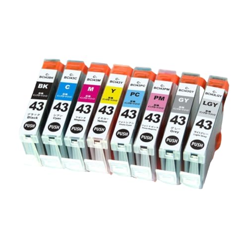 Cartouche d'encre BCI-43 pour donner vie à vos projets photographiques à la maison