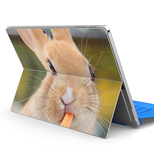 igsticker Surface pro7 (2019) pro6 pro2017 pro4 p XLV[ T[tFX m[gubN m[gp\R Jo[ P[X tB XebJ[ ANZT[ ی 002807 Aj}   