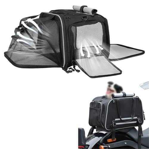 Portabebés portátil para perros en Harley: el portaequipajes perfecto para tu moto